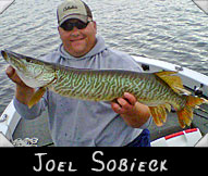 Joel Sobieck with 36-inch musky