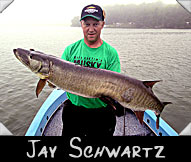 Jay Schwartz with his 46 1/2“ musky, guided by Chuck Brod