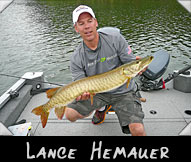 C&R Musky Club 4 contestant Lance Hemauer boated this 36 1/2” musky, guided by Jeff Pomplun