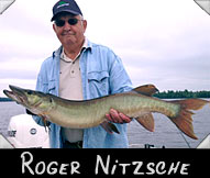 Roger Nitzsche landed this 39 1/2” beauty, guided by Bob Heilman