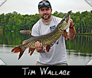 Tim Wallace with his 37 3/4” musky guided by Don Ladubec