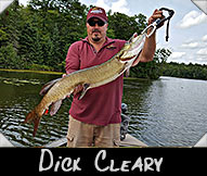 Dick Cleary with 39-inch musky guided by Steve Niewolny