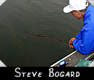 Steve Bogard releasing the 36 3/4-inch musky he caught while being guided by Mike O'Brien