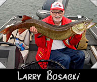 Larry Bosacki, a founding member of the World Musky Hunt, holds his prize winning 48 ¾” musky. Guided by Mike O’Brien, Larry won the Joe Fittante award for the largest fish caught by a “Past Hunter” in the 2014 World Musky Hunt.