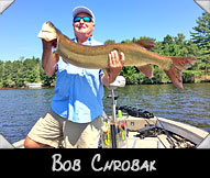 Team Poleski contestant Bob Chrobak boated this 46 ” musky guided by Matt McCumber