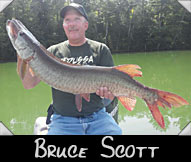 Past Hunter Bruce Scott boated this 39 1/4 ” musky guided by Darrly Fritz