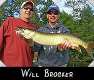 Will Brocker boated this 34 1/2 ” musky guided by Ken Lawrence